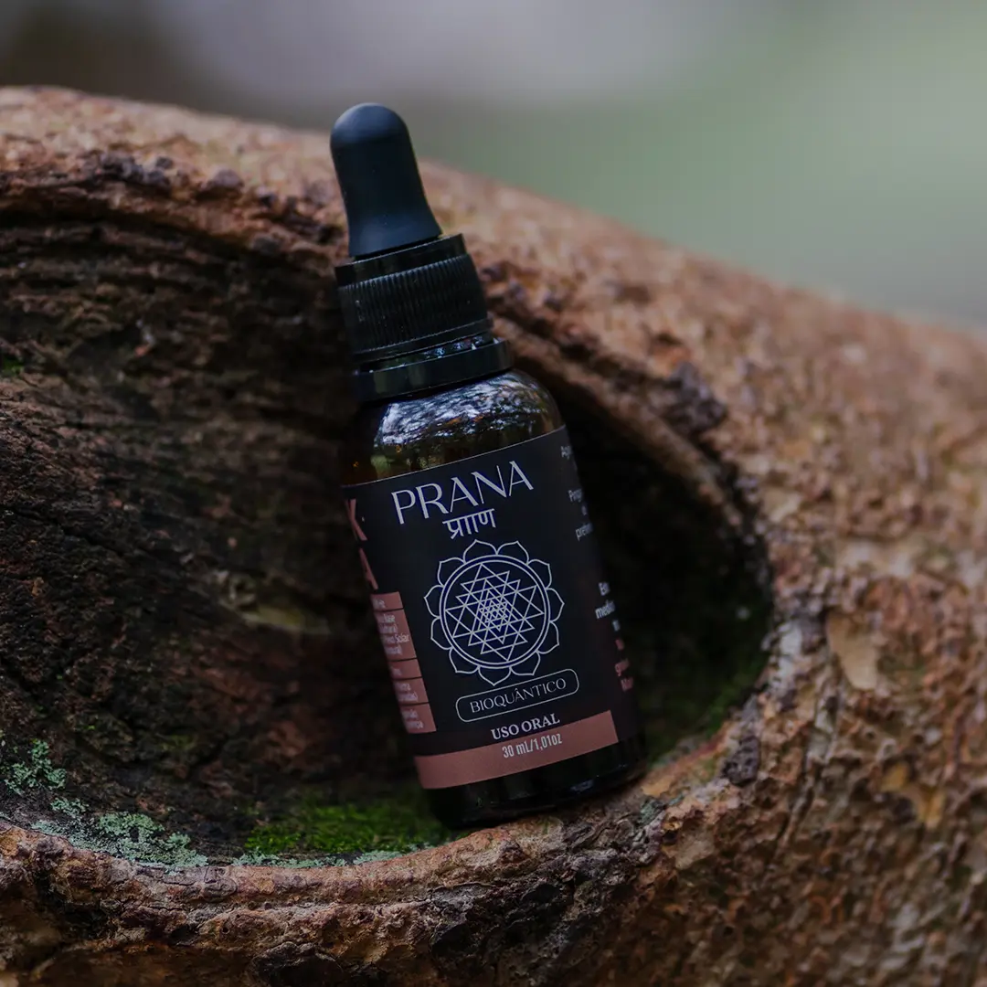 PRANA - Blend Matinal